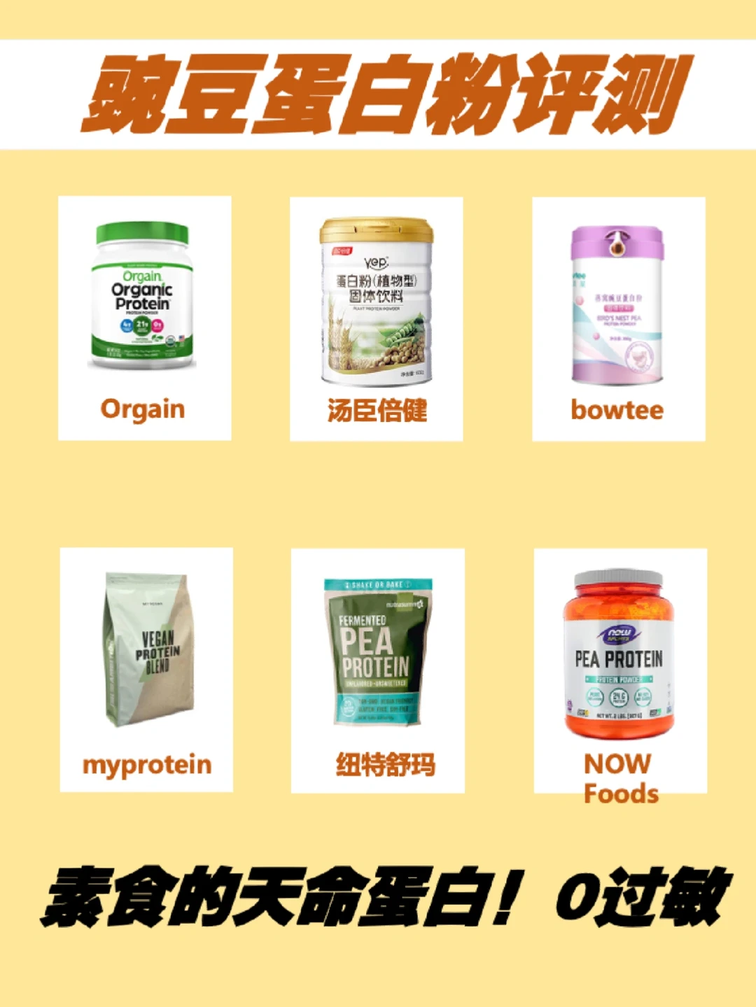 豌豆，蛋白粉里的公主👸，附6款测评～