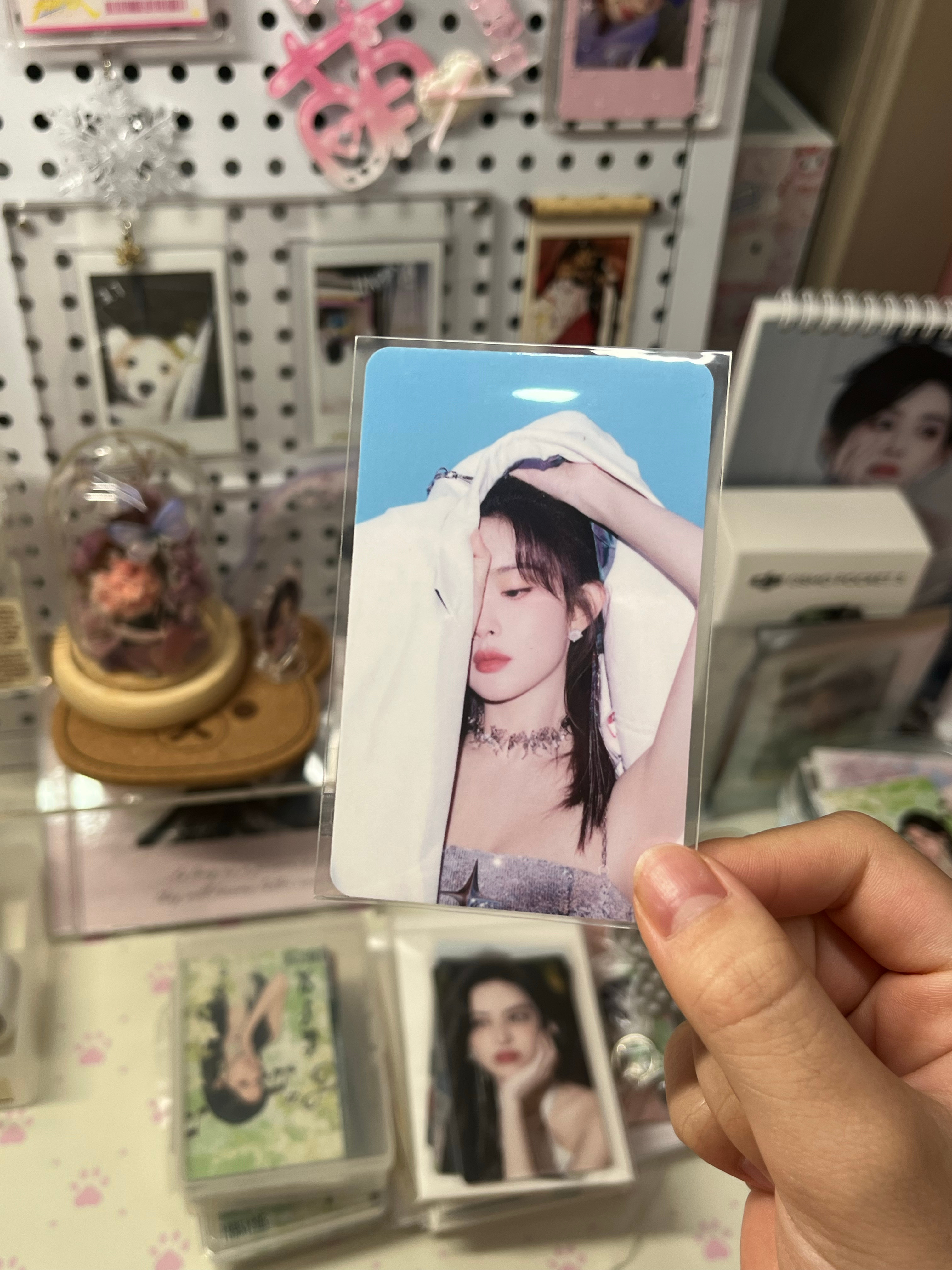【窦昭惊喜加码】
答应大家的种植园来了

为了获得窦昭的娃娃，决定为大家送出一张早期种植园小卡！
要求：plq晒单数量最多者得
希望大家多多支持昭昭！这是窦昭能有官方娃娃最后的机会了！暮晚摇无论后面云包场或者腾讯视频出娃娃都还有机会，但窦昭没有了！

这次投票都是给暮晚摇云包场 但是我们窦 ​