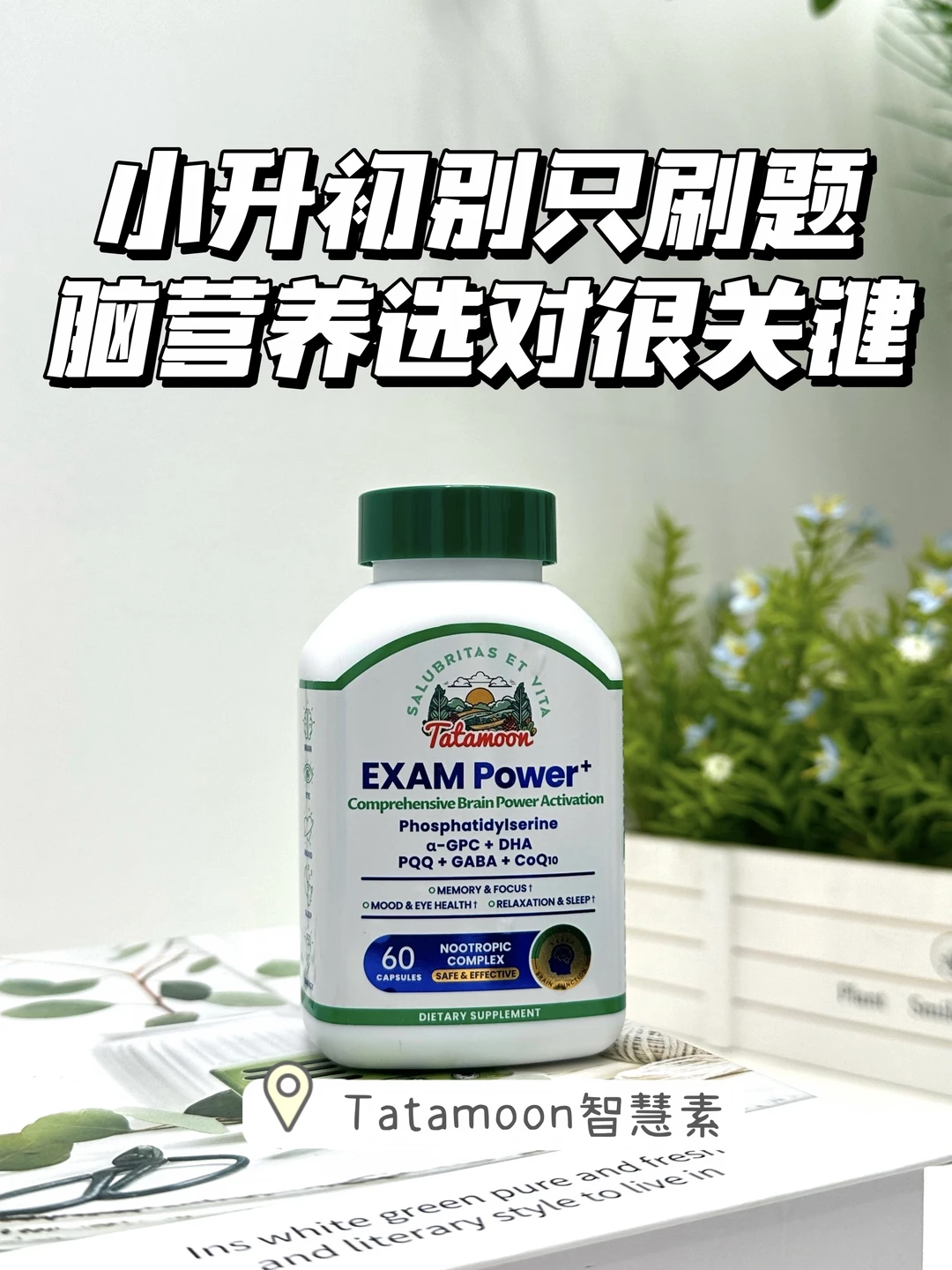 小升初备战3个月，终于找到适合的脑营养了