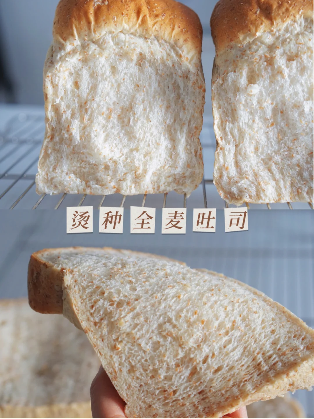烫种全麦吐司，超级绵软湿润！