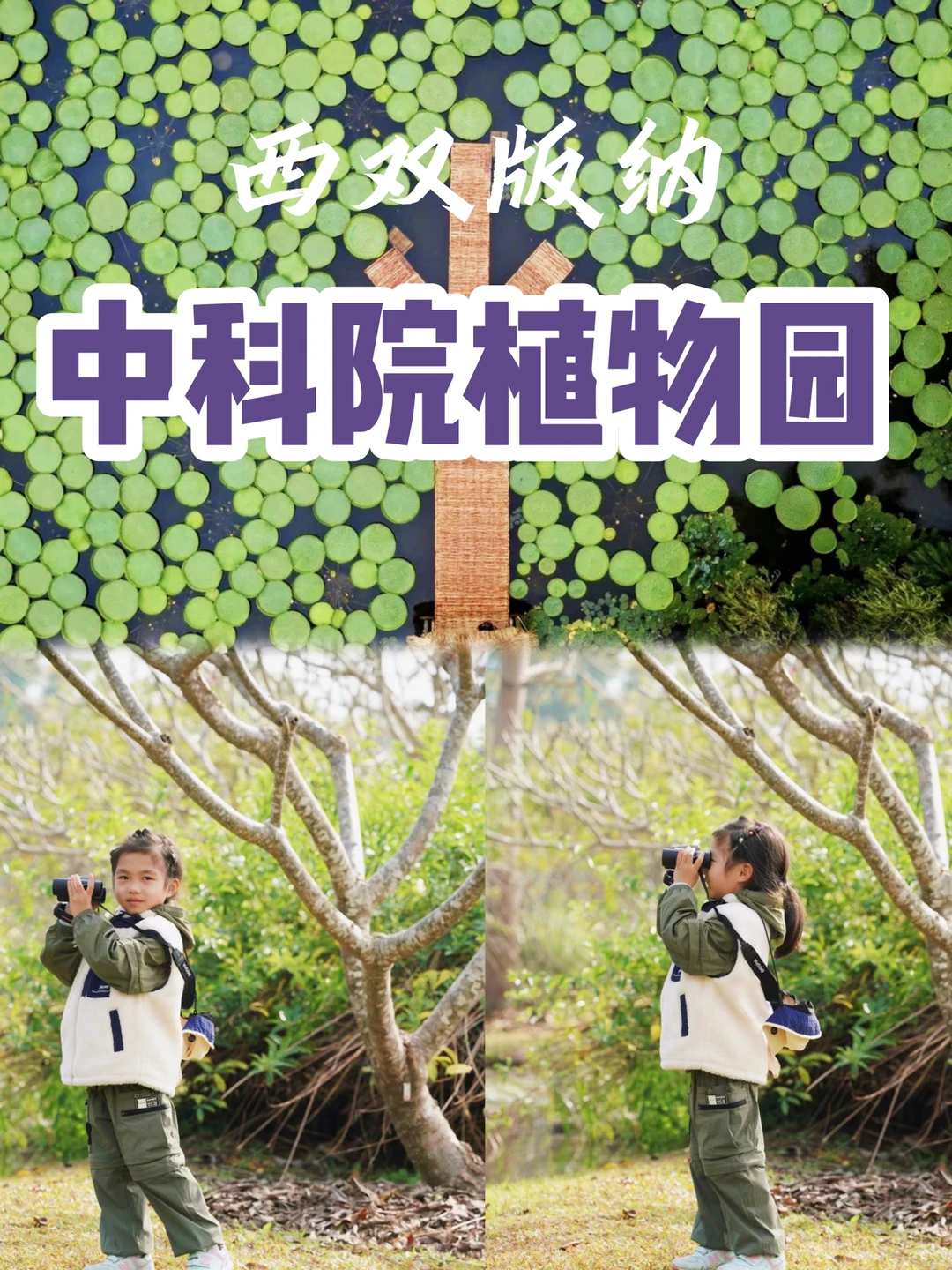 连刷2天 ｜带娃玩转植物园，看这一篇就够了！
