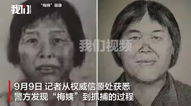 人贩子“梅姨”（谢家梅）抓捕完整经过

案件背景

梅姨是张维平拐卖儿童案的关键中间人。2003‑2006年间，张维平拐来多名儿童，交由“梅姨”转手贩卖。2016年张维平落网，供述出“梅姨”，但她真实身份一直成谜，潜逃多年。2026年3月21日广州警方正式通报梅姨落
