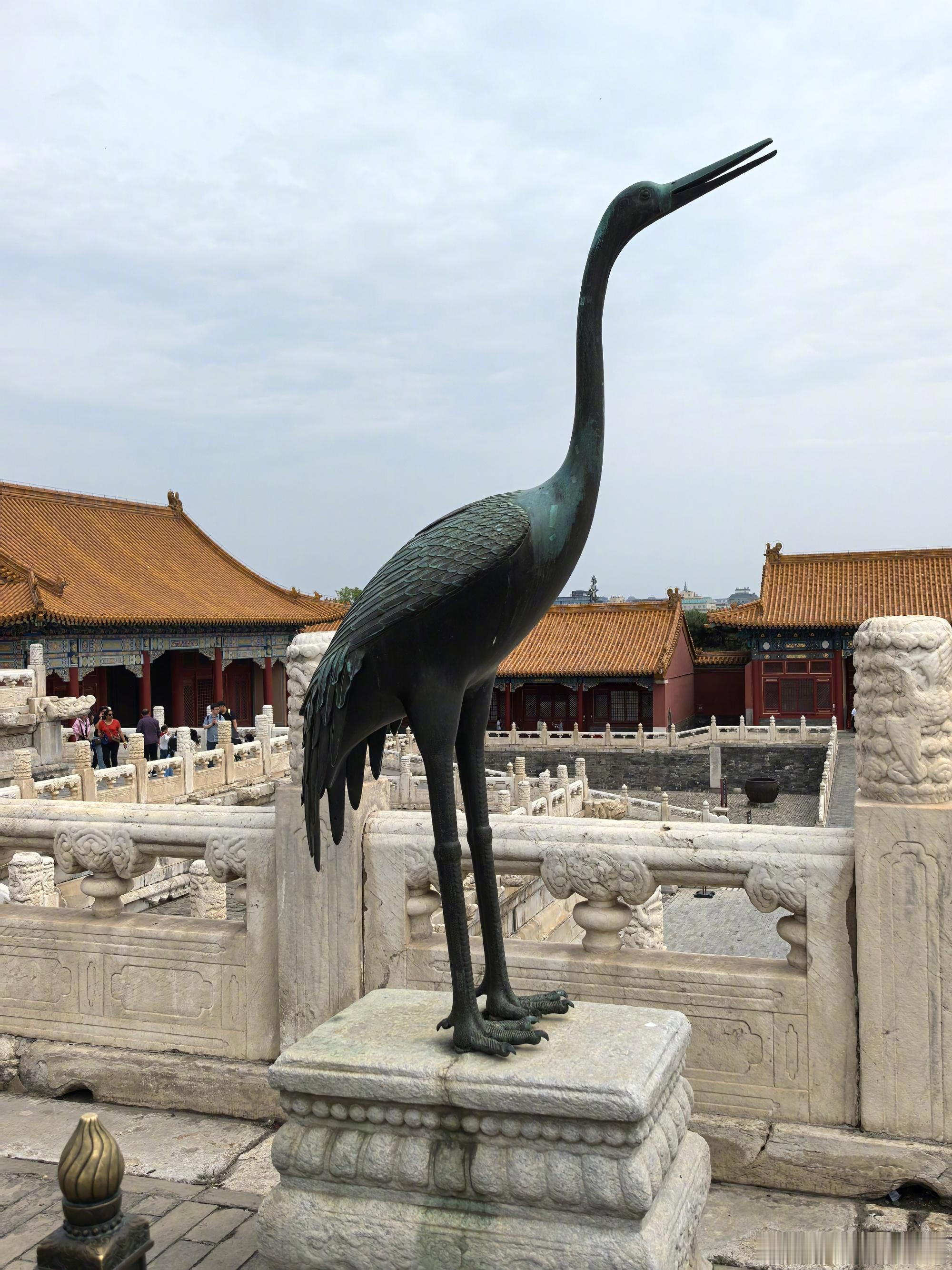 鸟类朋友图鉴 太和殿铜鹤好精美！      尽管是铜雕，依然逃不过我的...