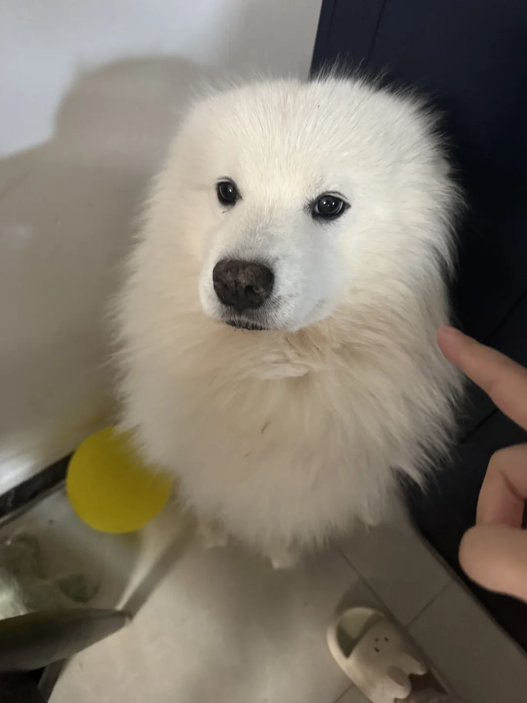 你你你……