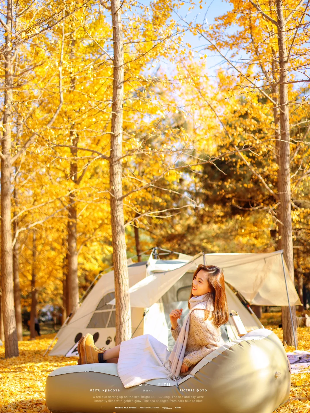 北京半小时‼️小众免费‼️躺在银杏树下露营⛺️