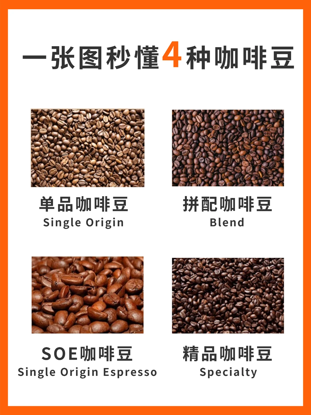 一张图秒懂4种咖啡豆