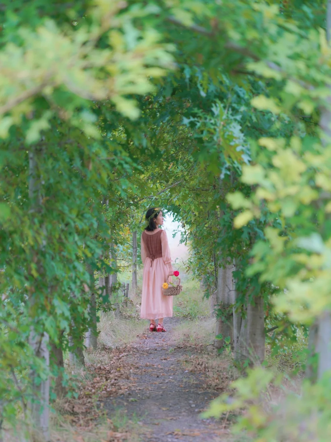 杭州拍照圣地❗️ 法式浪漫的绝美鲜花农场