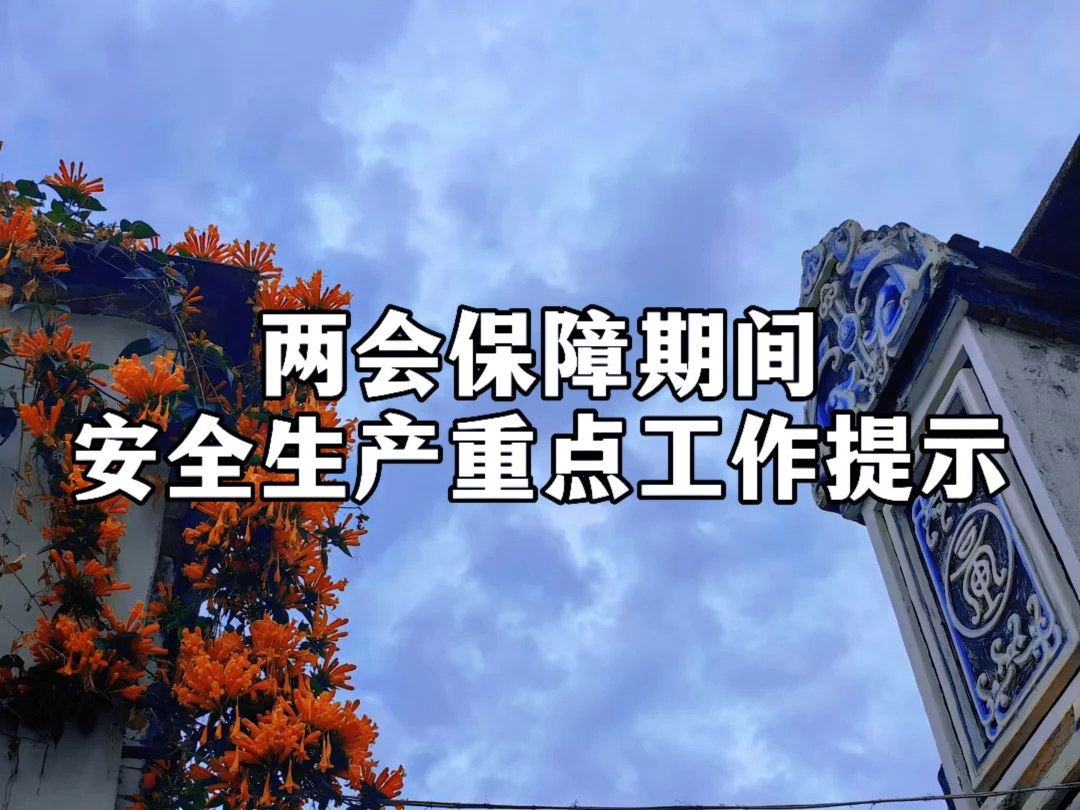 体制内：两会保障期间安全生产重点工作提示
