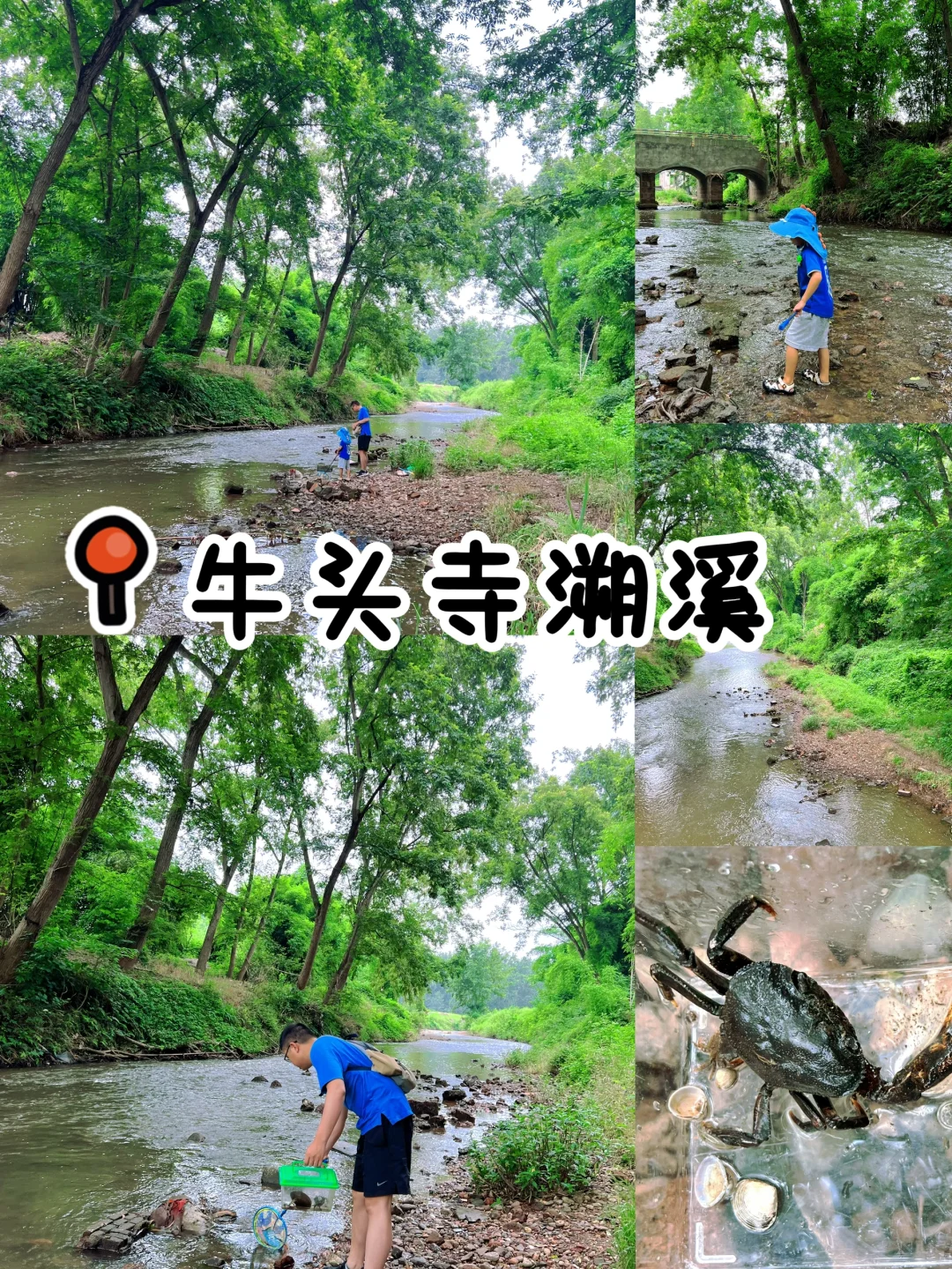 成都周边30 min‼️溯溪抓螃蟹🦀逛同治龙窑