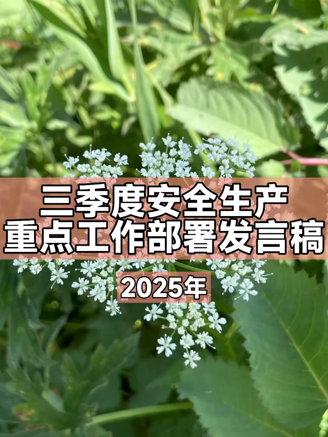 体制内：三季度安全生产重点工作部署发言稿