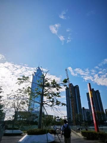 天气放晴了，蓝天白云🌳高楼相得益彰~赶通勤的人以及我，此情此景此境...