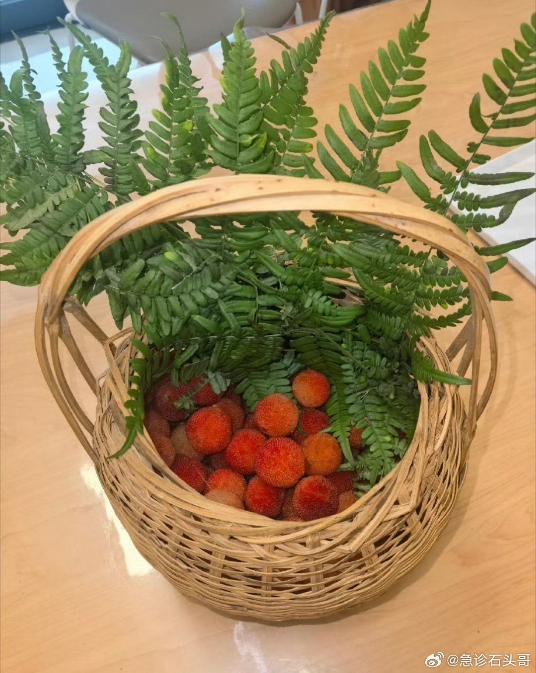 杨梅背后的心酸      每年这个时候，浙江这边就会有一些非常具有地区...