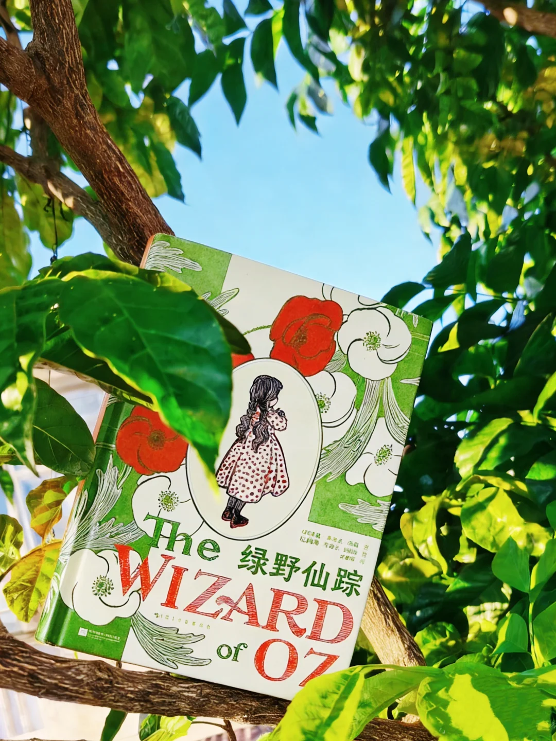 马爱农译本+百年插画 这版《绿野仙踪》好啊