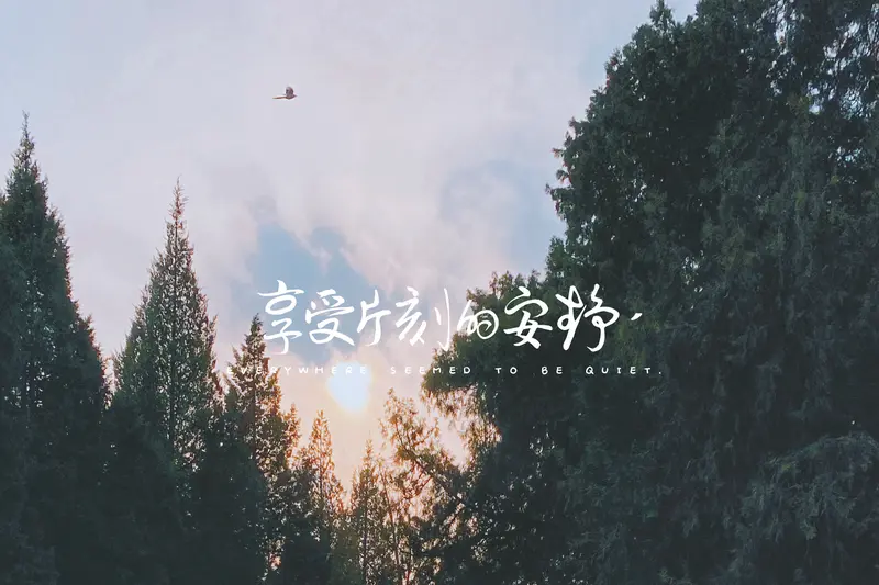 1. 脱单不内耗！3个高情商聊天技巧，21天让crush主动找你 2....