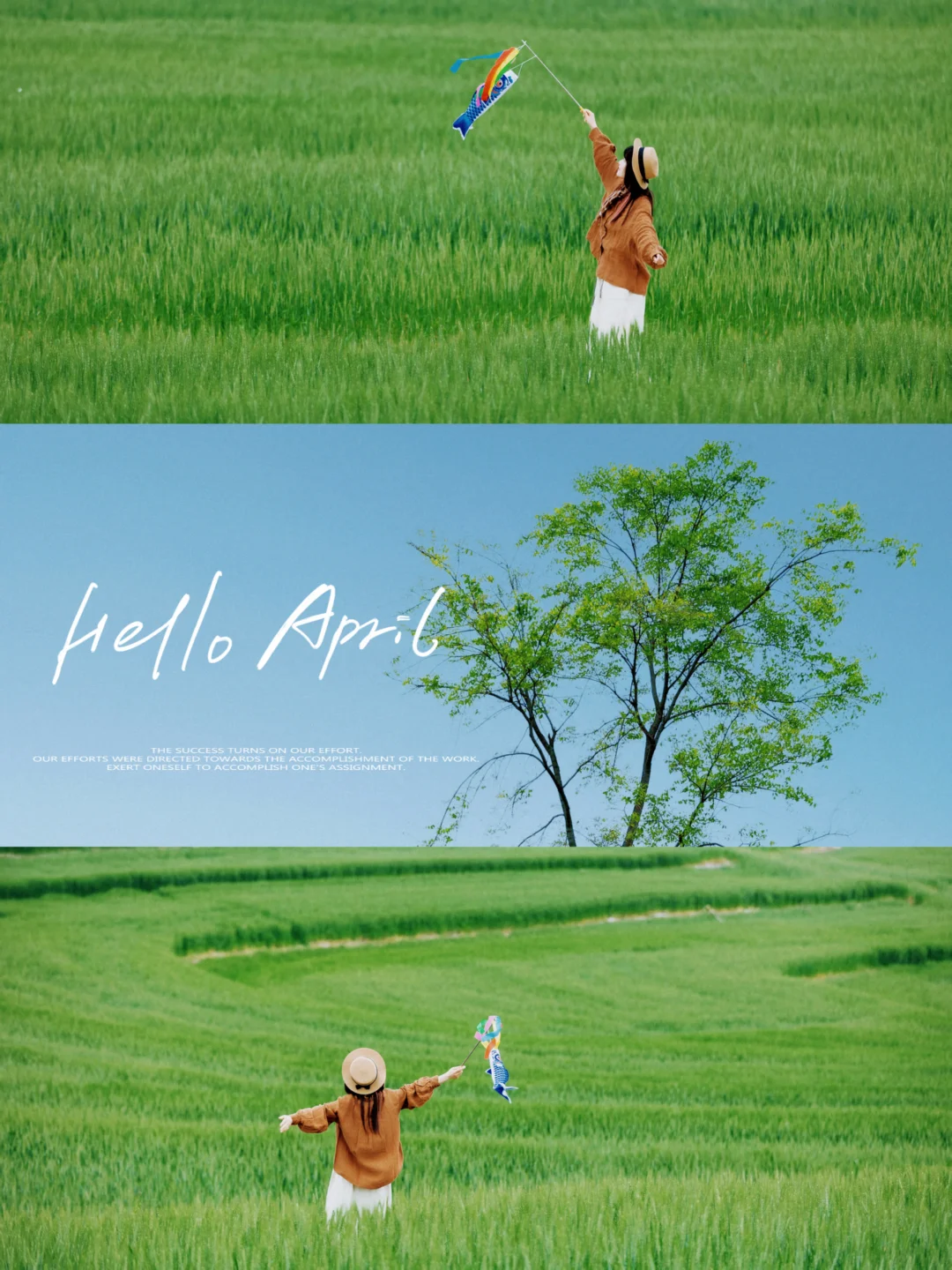 别骂了❗麦田这样拍📸真的美到犯规