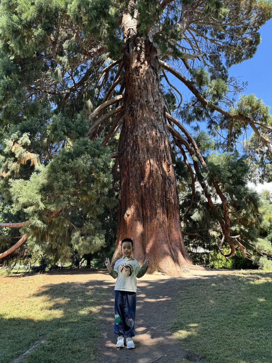有人当面批评你的孩子，应采儿的回答亮了