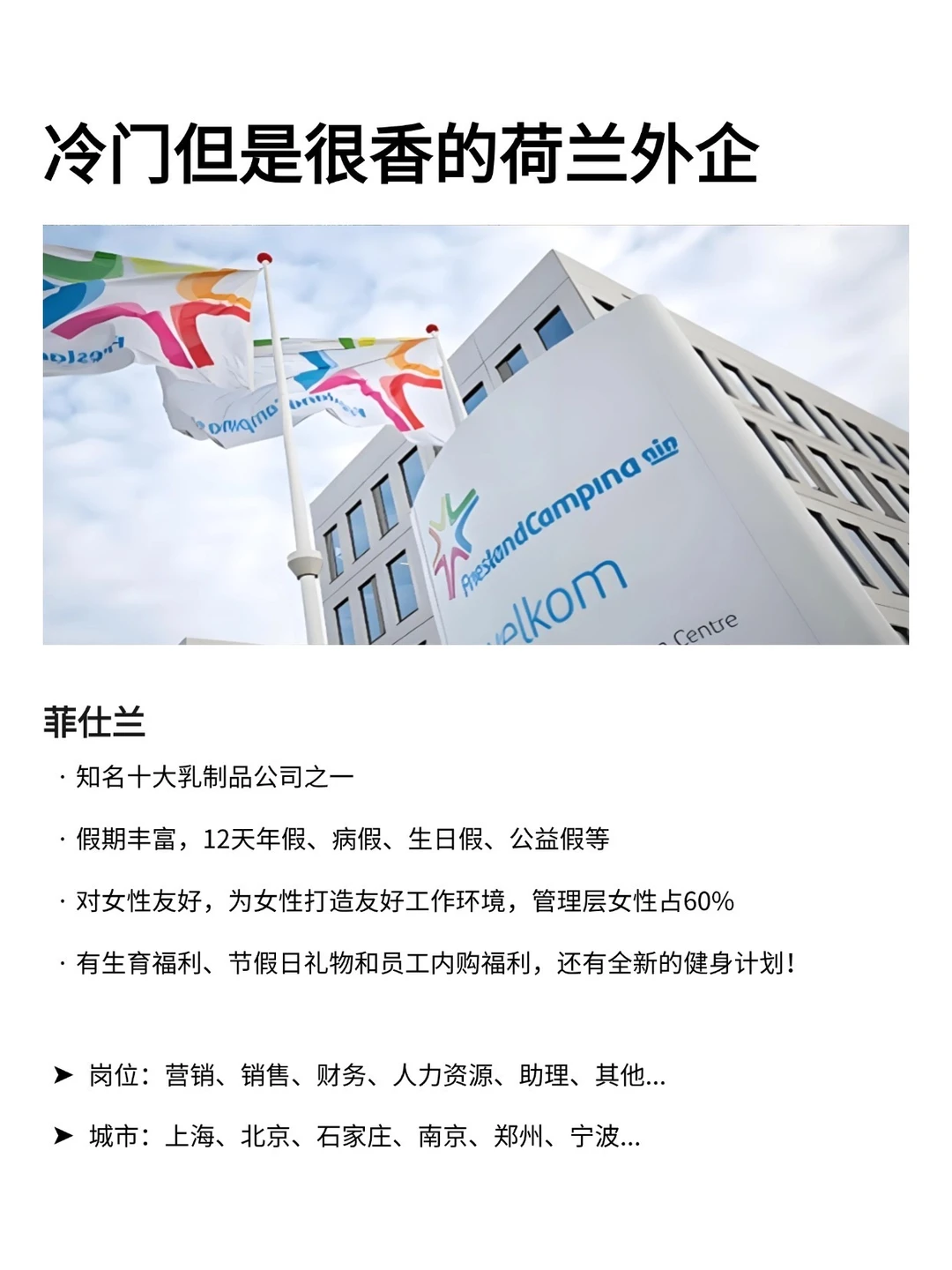 冷门但是很香的：荷兰外企