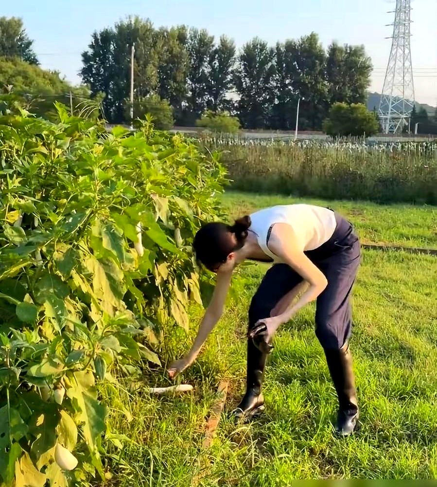 脚踩香奈儿胶鞋下地拔萝卜，何穗这组未修生图直接吵翻了。

普拉达背心搭个破草帽，几万块的行头当劳保服使，连肚子上的纹路都懒得修。评论区瞬间撕成两半：一边骂她故意摆拍立人设，一边直呼这才是真松弛。

说白了，普通人下雨天为保两千块的球鞋小心绕路，超模却把几万块的名牌直接踩进烂泥。东西大伙都知道贵，但底