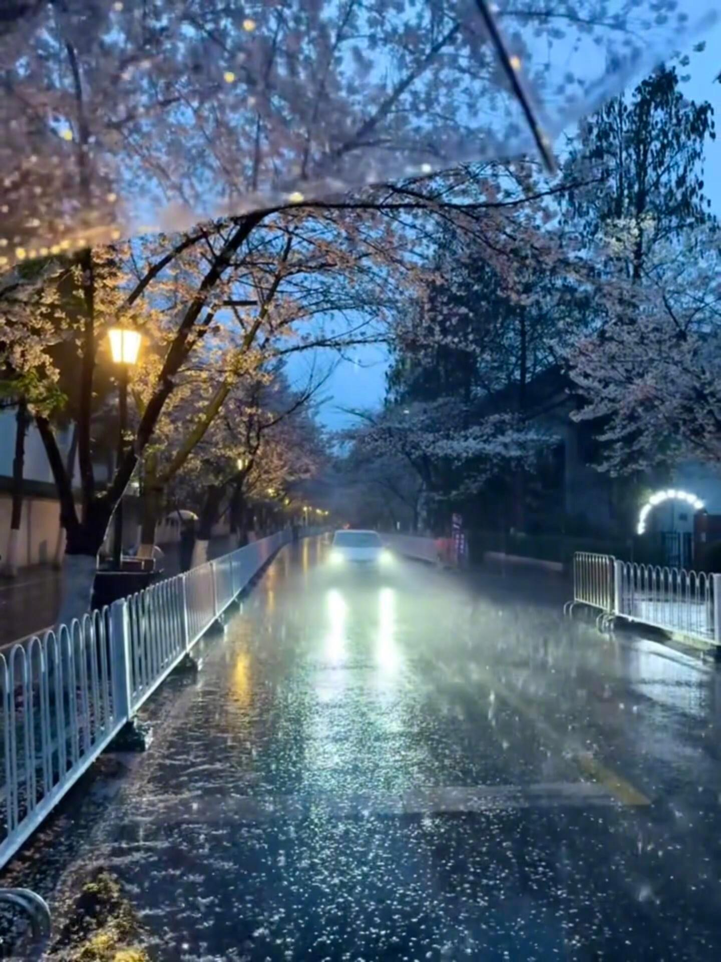 为啥每逢下雨天，人就控制不住地犯困？阴雨天容易昏昏沉沉提不起精神，属于人体很正常的生理现象。厚厚的乌云遮蔽日光，昏暗环境会误导大脑，血清素分泌降低，褪黑素持续增多，身体自动进入预备休眠状态。同时阴雨环境气压降低，空气中氧气含量小幅下降，大脑供氧减弱，疲惫感随之而来。连绵雨声还属于舒缓的白噪音，可以隔绝外界嘈杂，舒缓紧绷的神经。光线柔和、氛围安静，搭配湿润凉爽的气温，多种条件叠加，也就难怪雨天总是睡意汹涌
