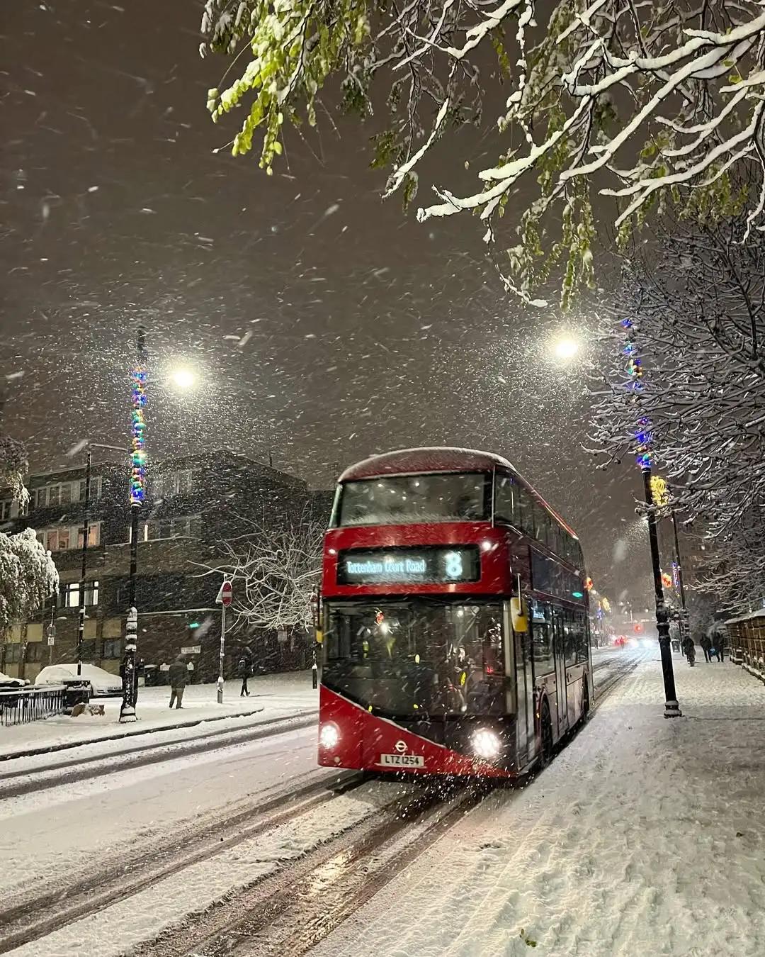 ❄️英国明天要下雪啦！