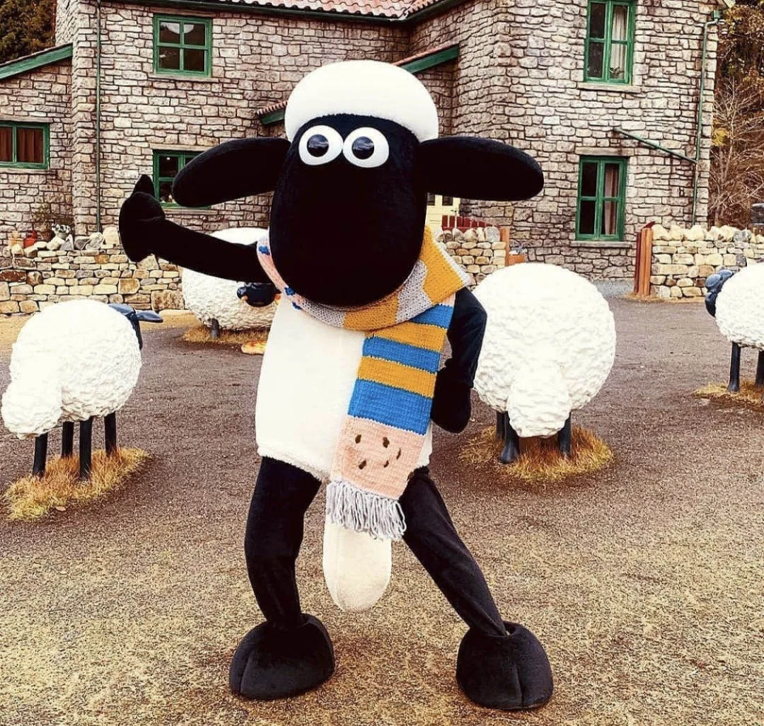 日本滋贺县|不是梦！童话里的小羊肖恩来啦