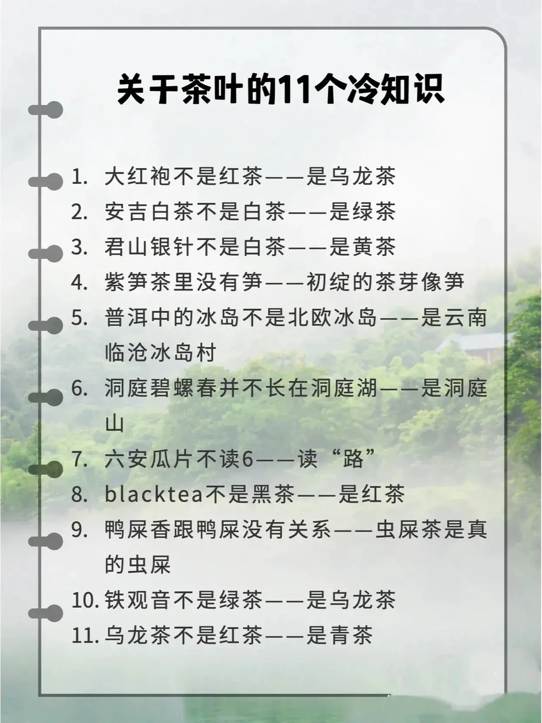 关于茶叶的11个冷知识！茶人必知！