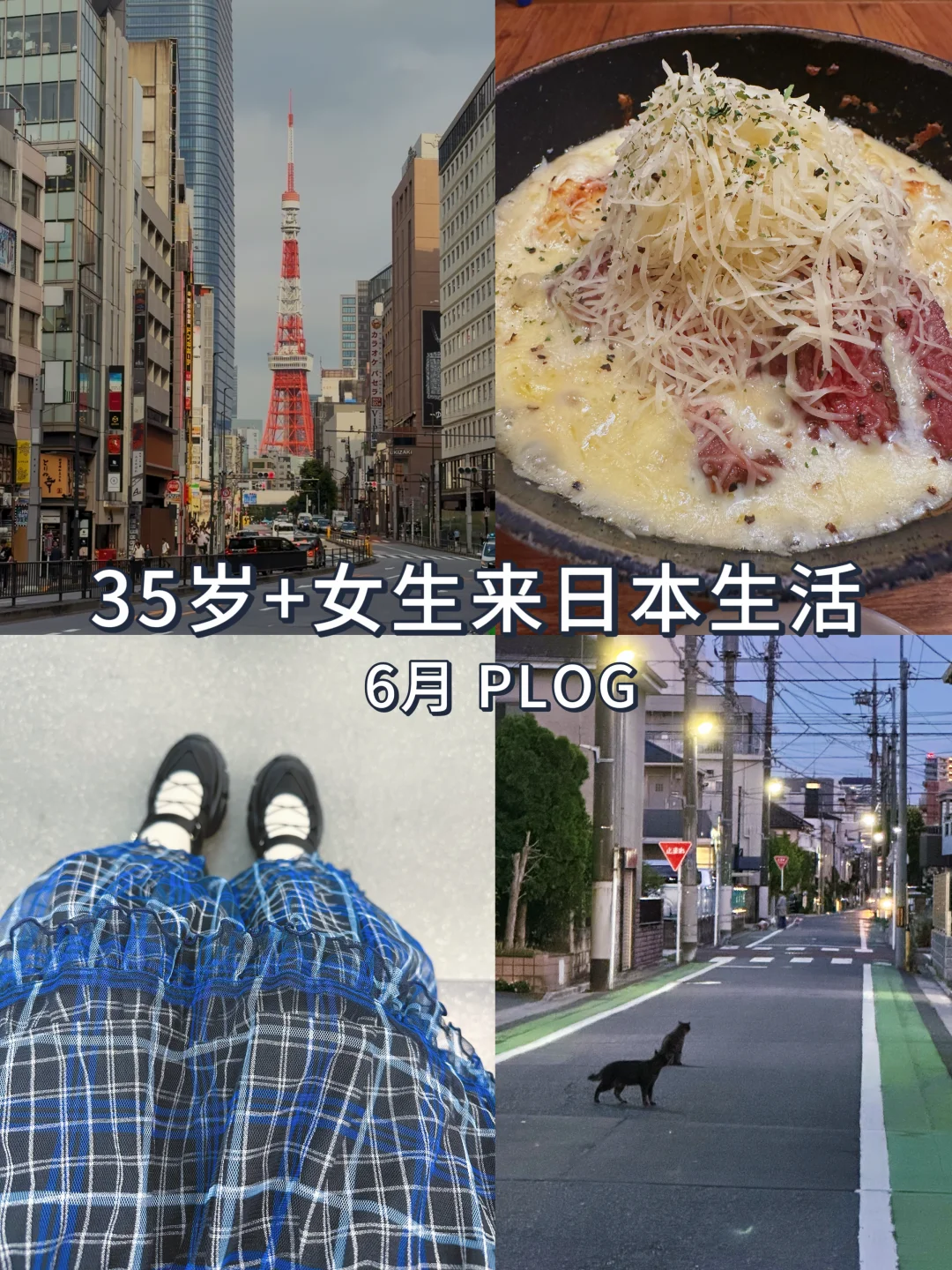 35岁+女生决定到日本生活！第3年后悔了吗？