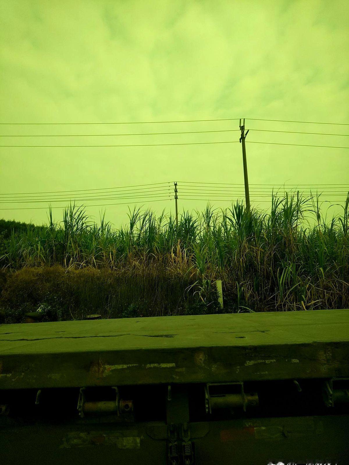 视频里那对东北老夫妻被抓时双双坐地，老太太拍着腿嚎心脏搭桥要命，老头叹...