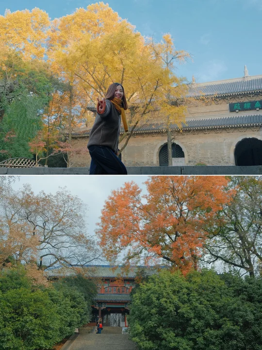 紫金山跟风成功🍂南京最美秋景，原来在这儿！