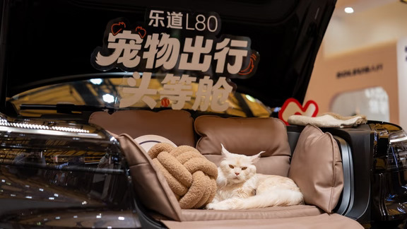 大沙发好舒服，眯一会儿💤