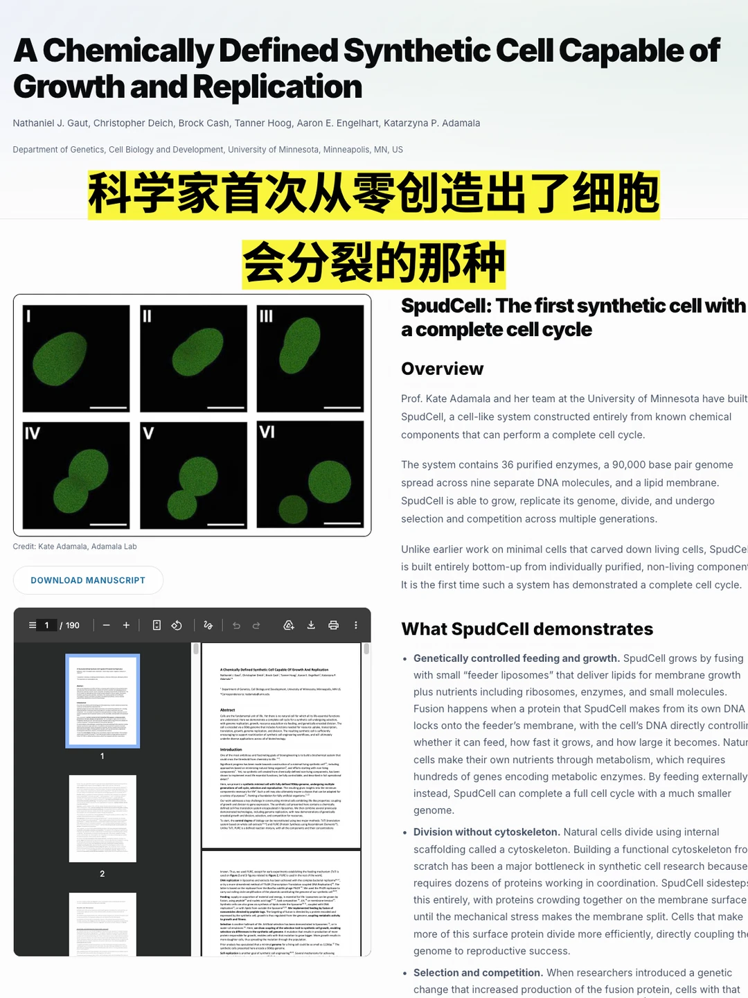 科学家首次从零创造出了细胞，会分裂的那种