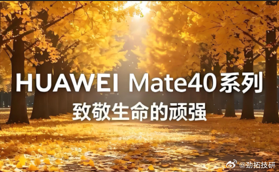 《从Mate40致敬生命的顽强——Mate90致敬踏光前行的笃定》

2019年5月15日，华为被正式列入实体清单。2020年9月15日，芯片断供禁令生效，麒麟高端芯片被迫停产。

一个月后，2020年10月，Mate40系列发布。搭载麒麟9000，断供前最后一批量产的高端芯片——"绝版旗舰"，成了那个秋天最悲壮的注脚。

那是 ​