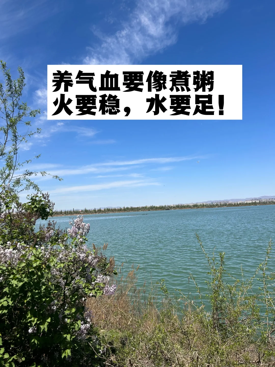 养气血要像煮粥，火要稳，水要足！要阴阳平衡！