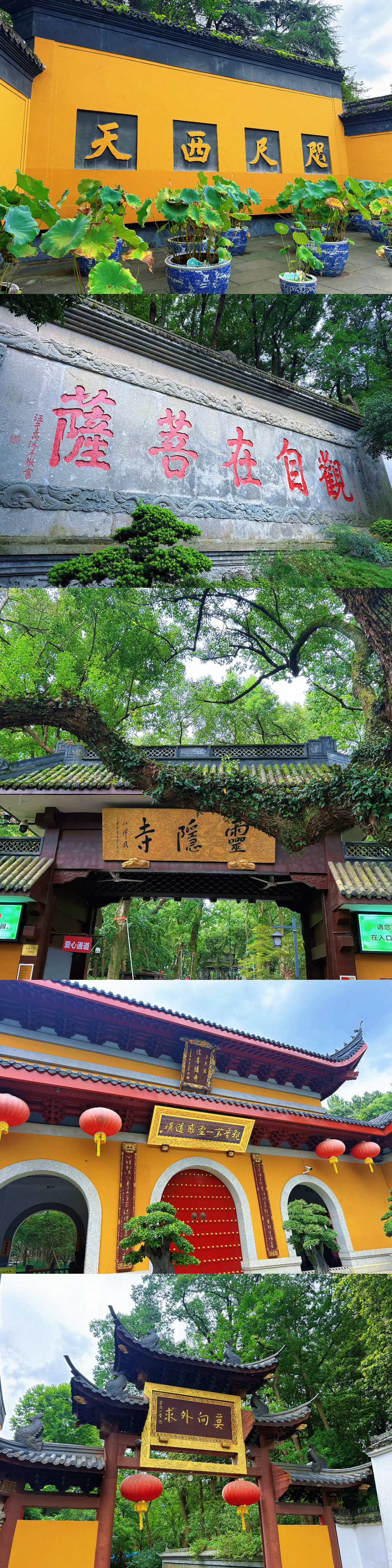 我们都有一部分的自己被好好保存在好朋友那里当我们和朋友见面时会回到最美...