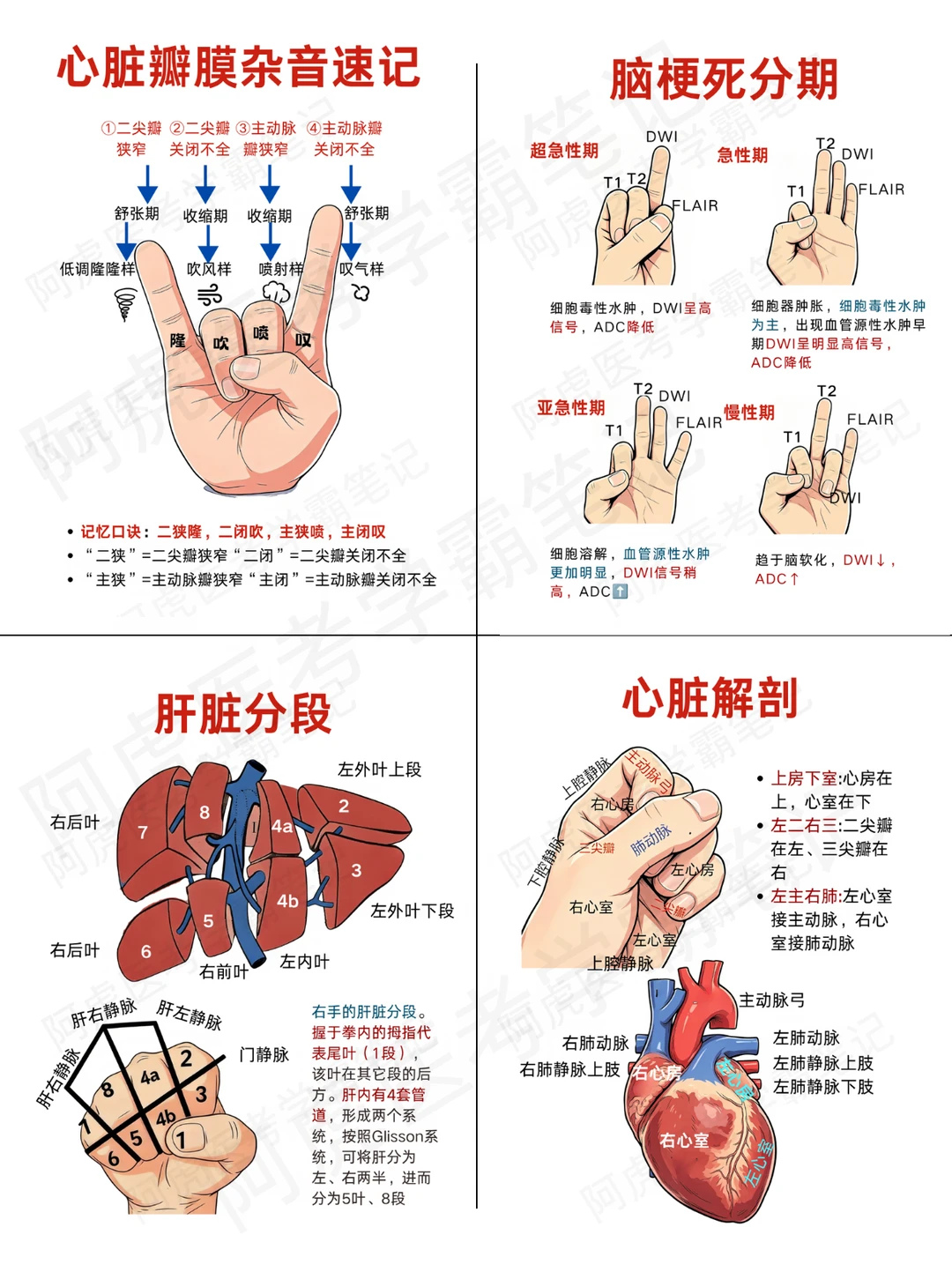 阿虎医考笔记📒用✋️巧记各类知识❤️
