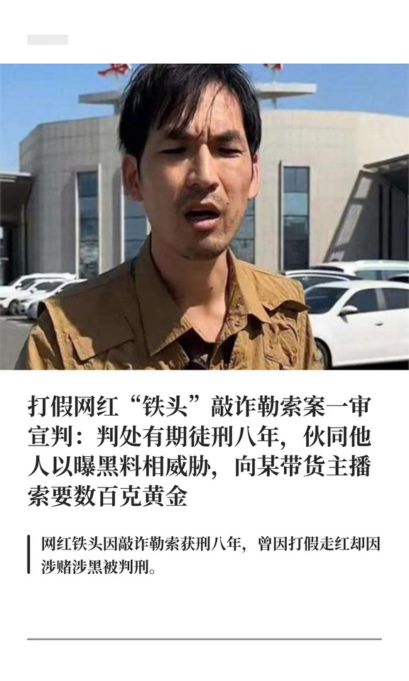 打假网红“铁头”敲诈勒索一审被判8年