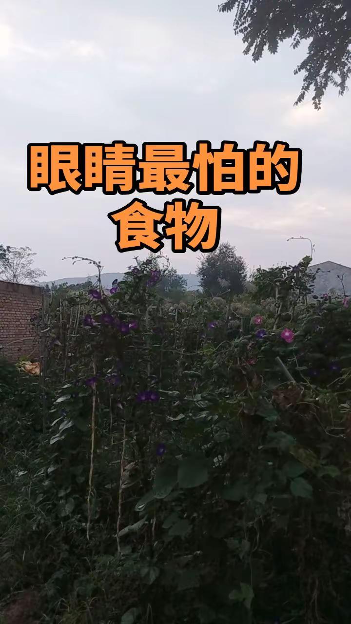 绝境翻盘！孙颖莎上演史诗级逆转伦敦世乒赛