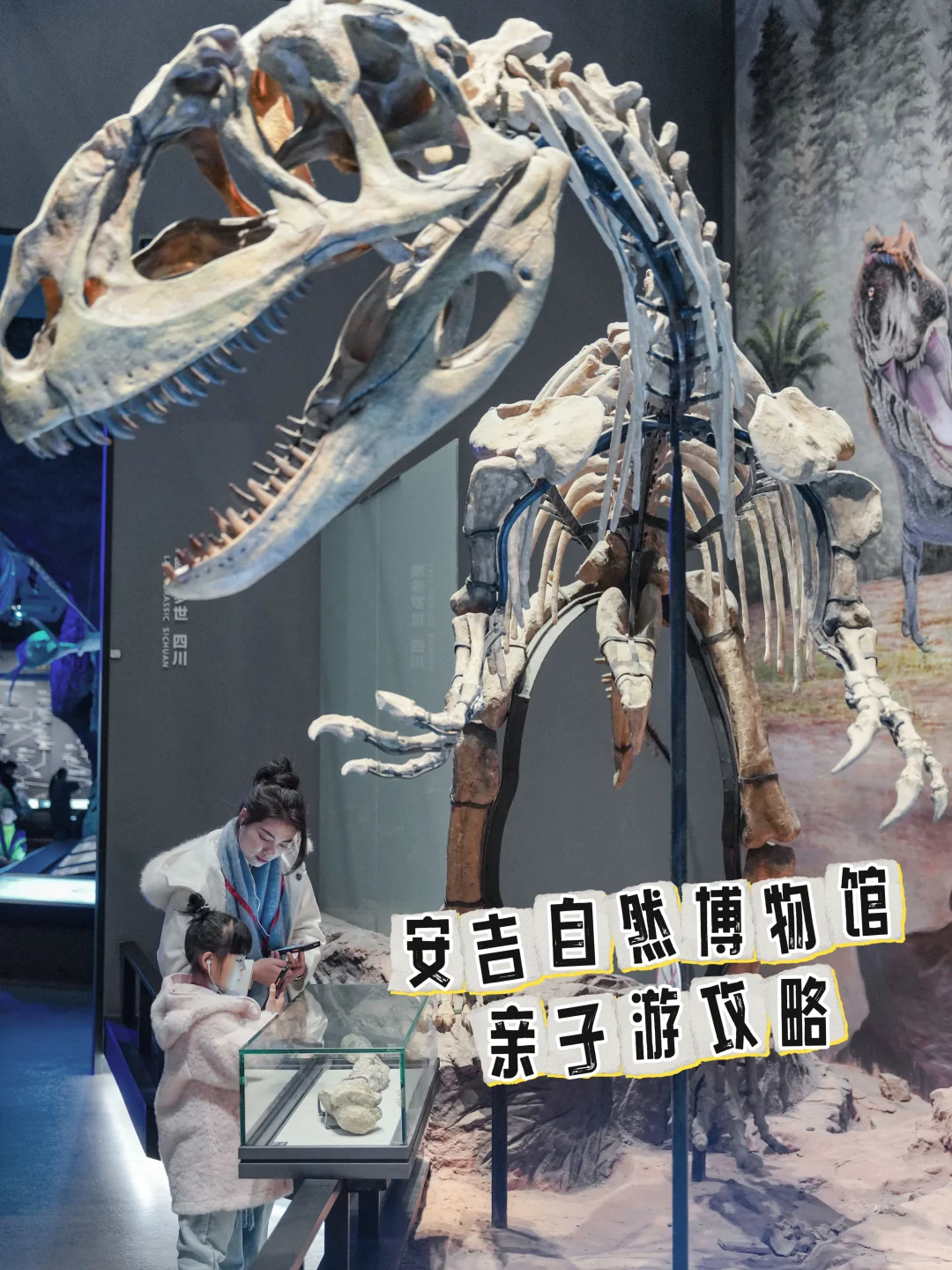 浙江亲子游❤️免费好玩❗安吉自然博物馆❗