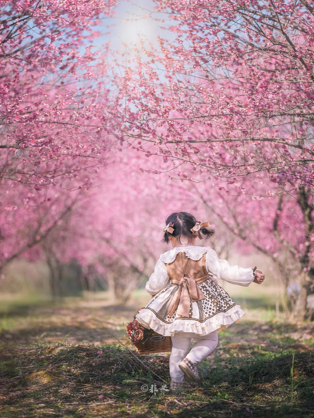 武汉七彩花海的梅花林，免费景美！拍照遛娃去