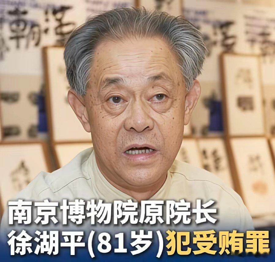 这买卖真划算，才罚20万？拔了一根毛.#南京##南京城墙博物馆# 热词都没有了 ​