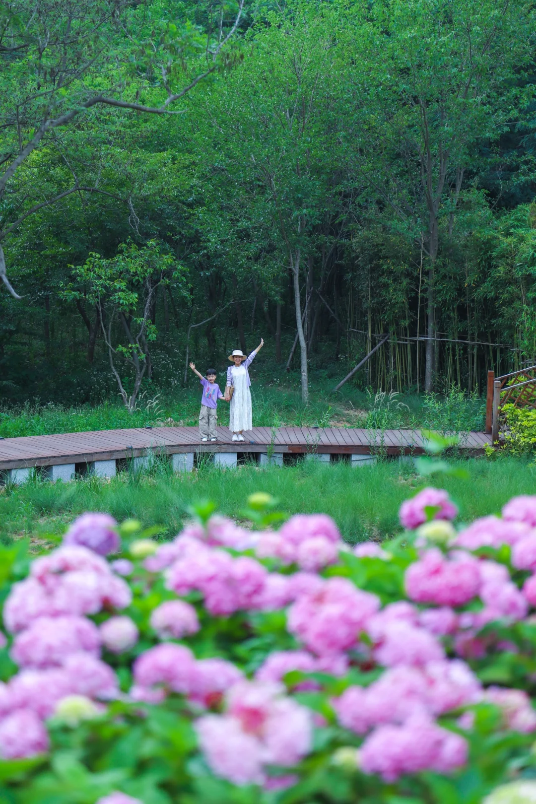 在山里拍到了人生毕业照👉青岛绣球等你