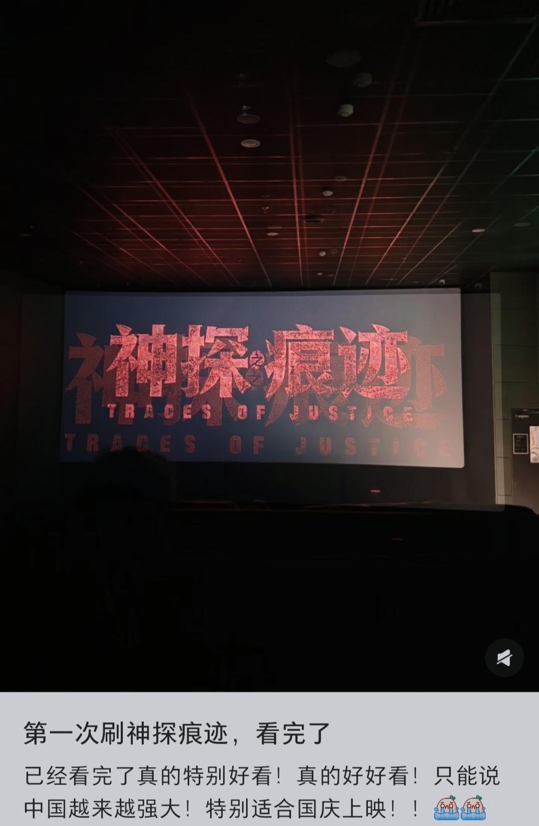 国庆档首日《神探之痕迹》票房夺冠。国庆档首日战报出炉！陈思诚执导，张译、马丽主演的悬疑大片《神探之痕迹》强势登顶首日票房榜，断层领跑档期。影片以痕检专家为原型，聚焦真实案件，扎实的刑侦故事收获观众好评。

过硬演技搭配层层递进的案件悬念，预售便热度拉满，上映即引爆影院。国庆假期，来影院解锁这场震撼人