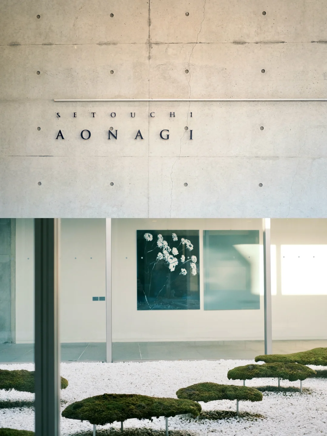 濑户内海｜在安藤忠雄的混凝土里感受自然