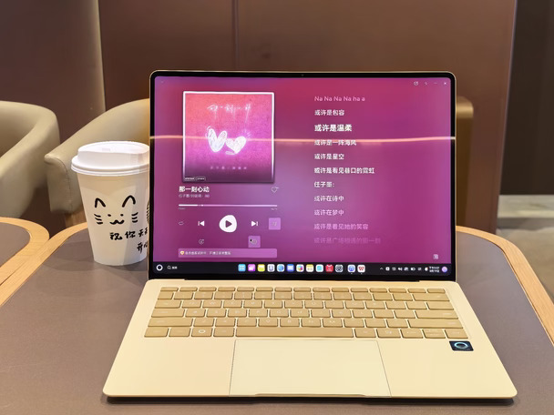 所以阻止你带电脑出门办公的是什么