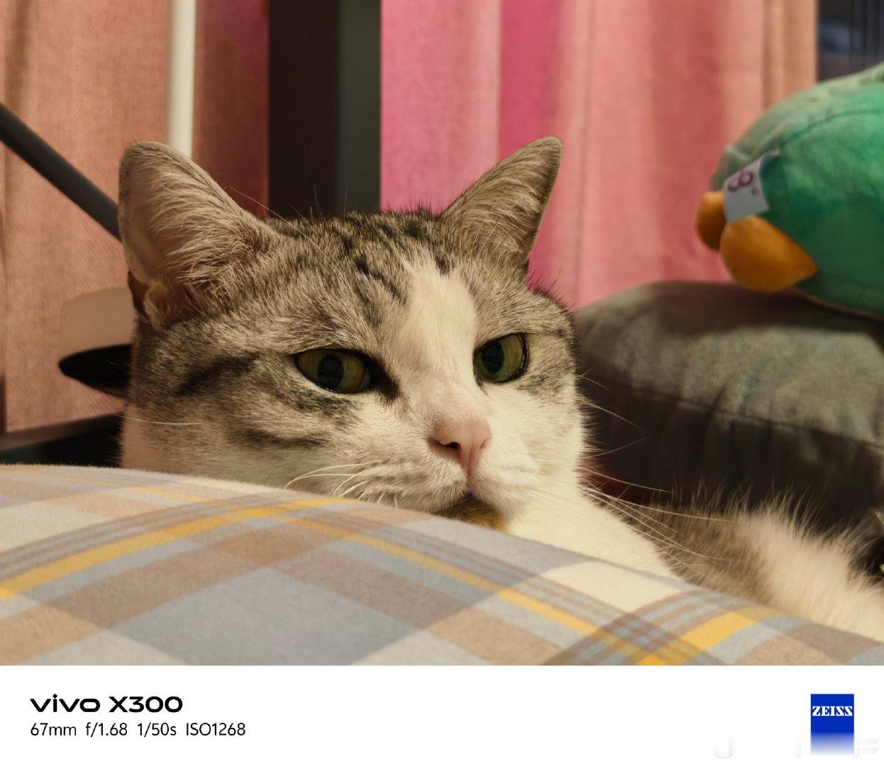#vivo[超话]# 一晃大了，一晃老了
   再晃就没了
   我们都知道自己的出厂日期
   却不知道自己的报废日期
   和解、接受、自爱
   余生，请用这六个字爱自己 ​​​#手机摄影##当你有了vivo##vivo疼粉办##vivo#  ​