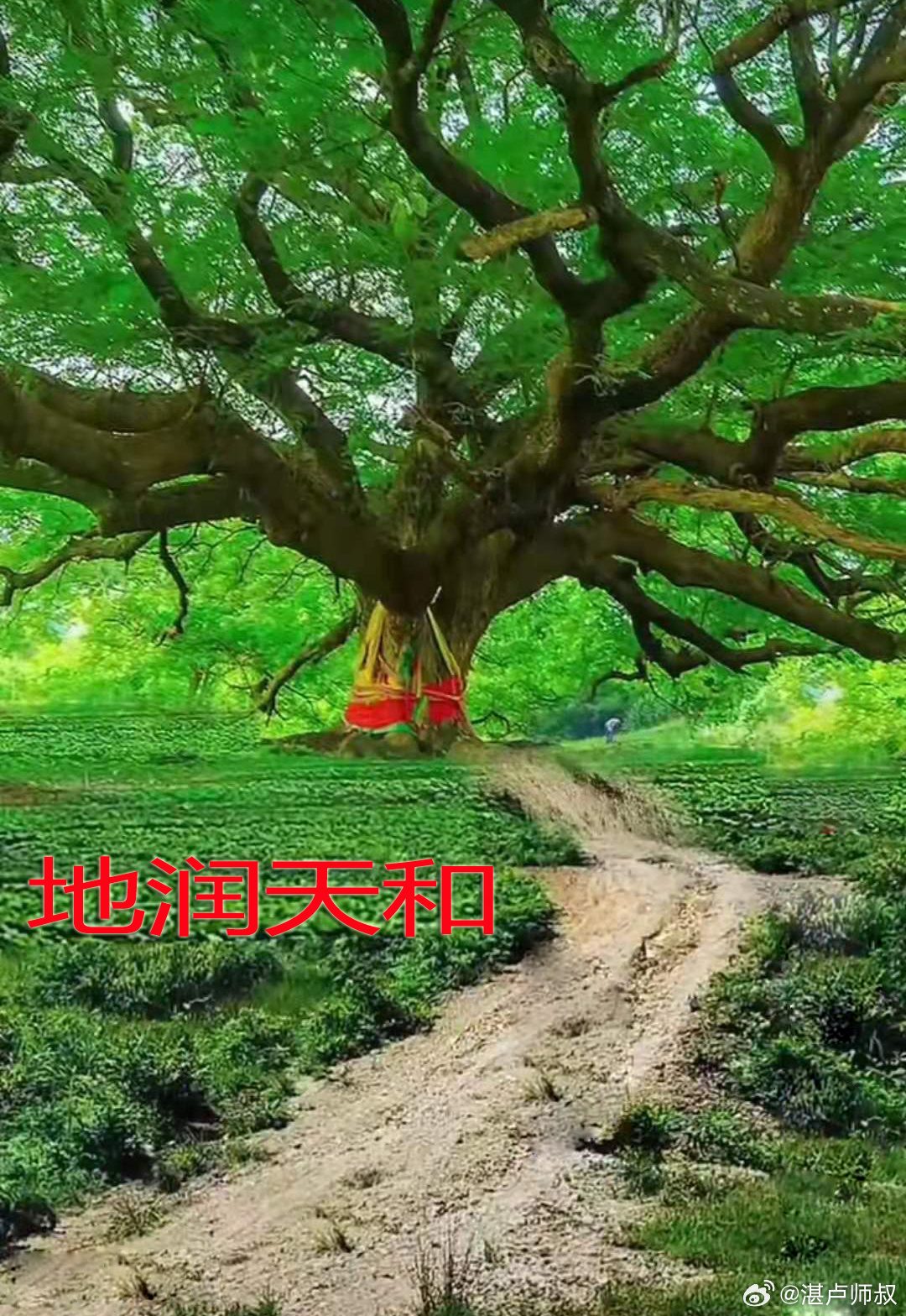 传统文化子平理论  身杀两旺坐禄，无官星混杂，司法或行伍清官。 ​​​