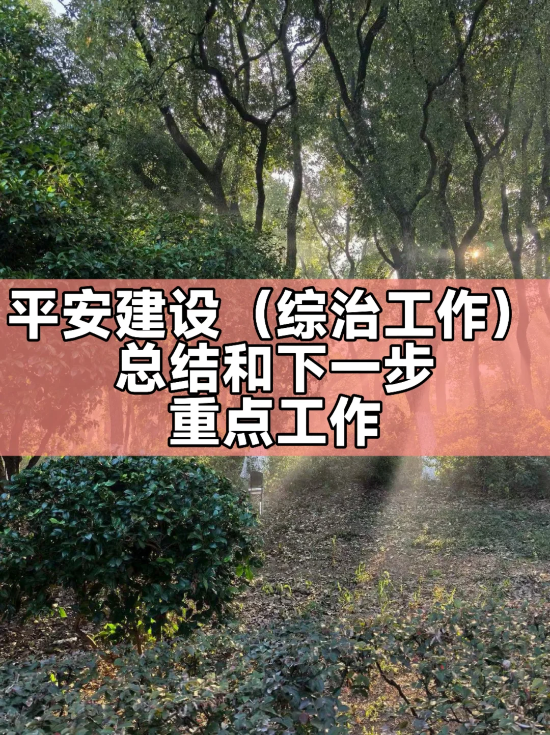 平安建设（综治工作）总结和下一步重点工作