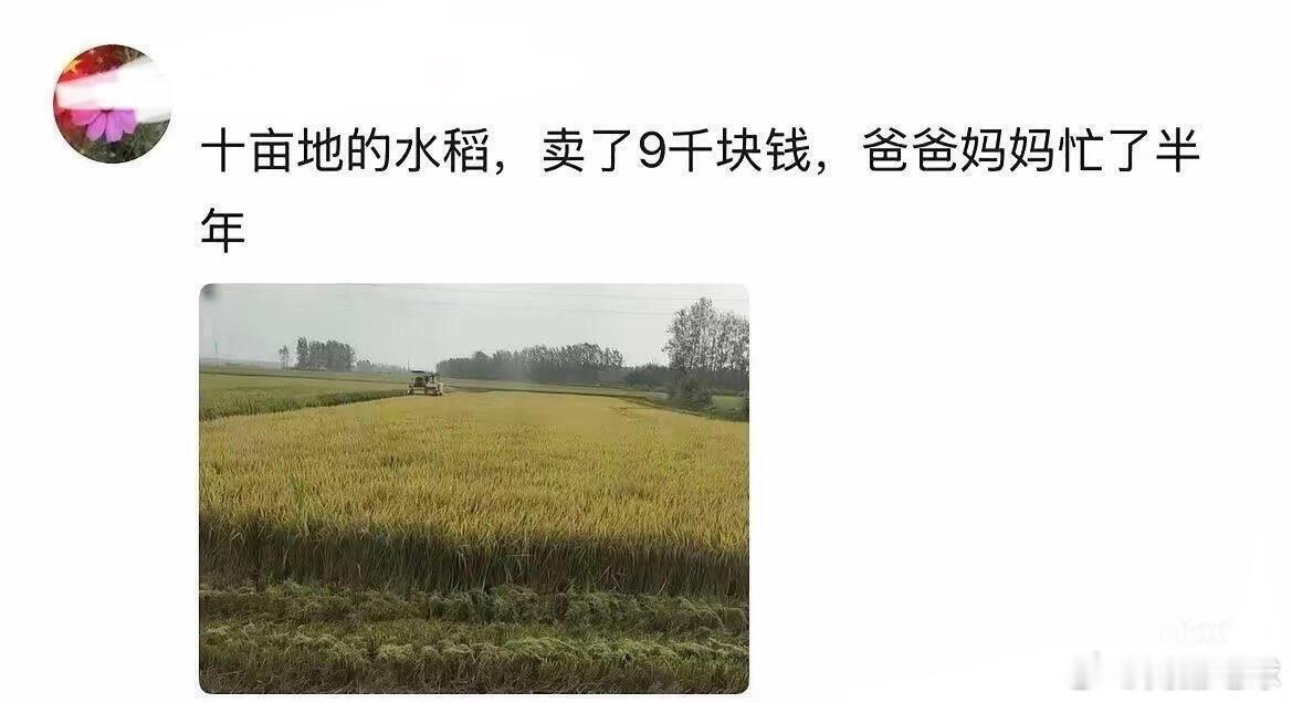 愿你今后买东西都是因为喜欢，而不是因为便宜 ​