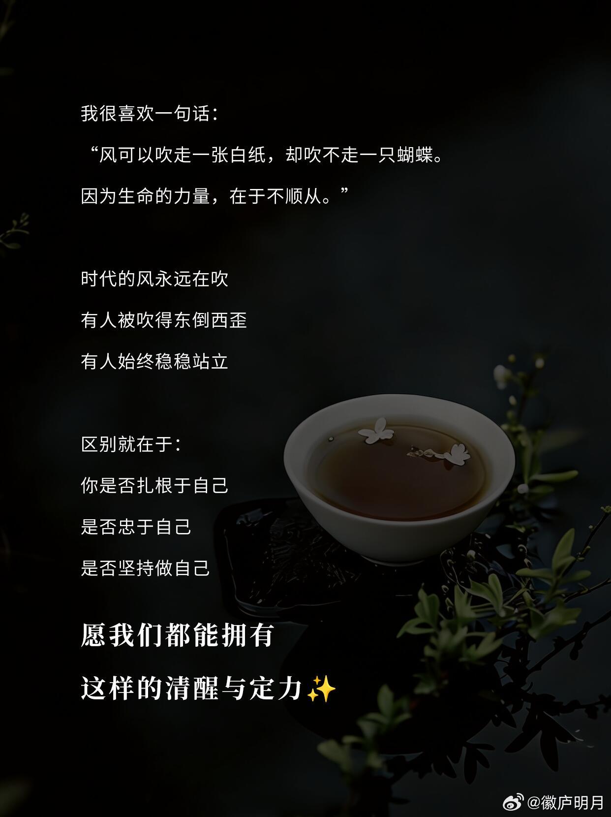 papi酱：真正厉害的人，都在安静做自己​​​