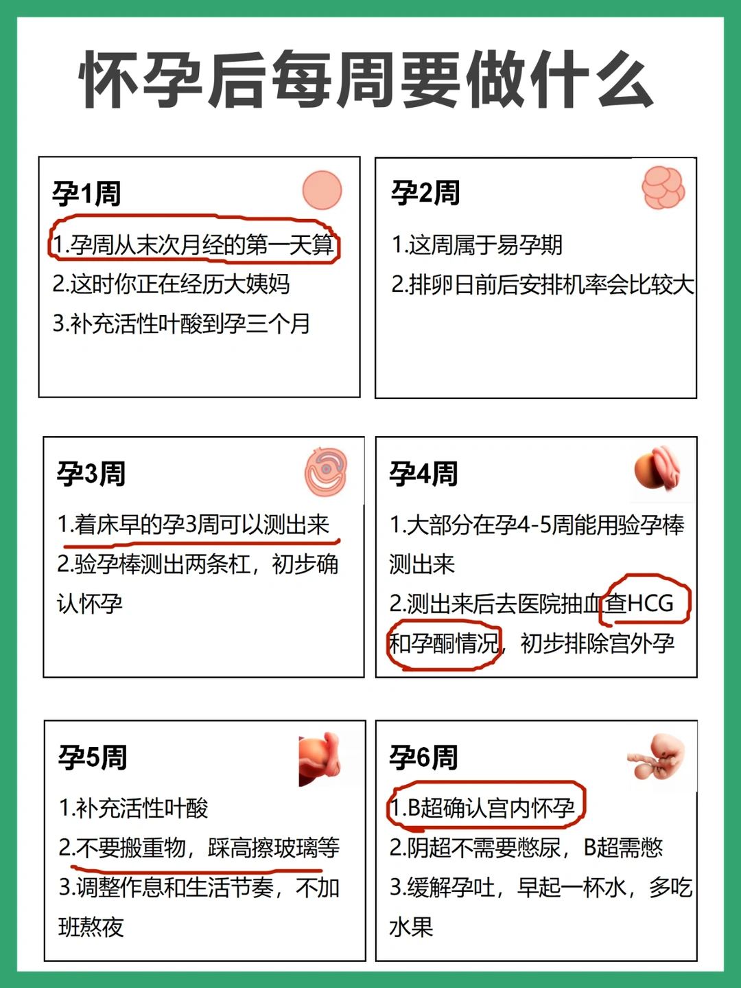 怀孕后每周要做什么，孕妈妈快来抄作业‼️